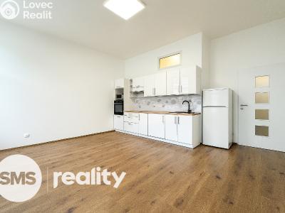 Оренда квартири 3+KK Opava, Nákladní č. 1