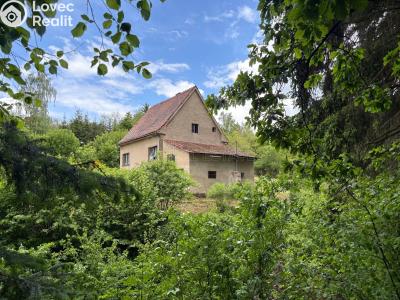 Продаж сімейного будинку Úžice č. 6