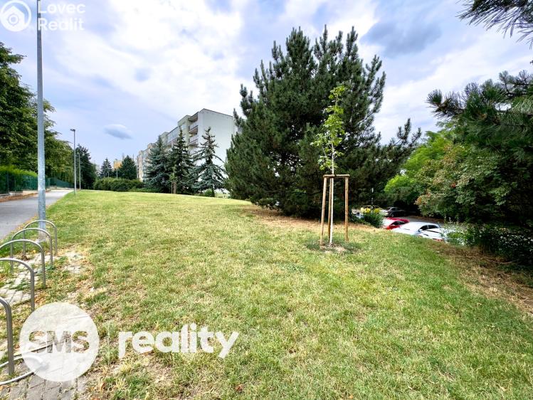 Prodej bytu 1+KK Praha, Tobrucká 709/17 č. 3