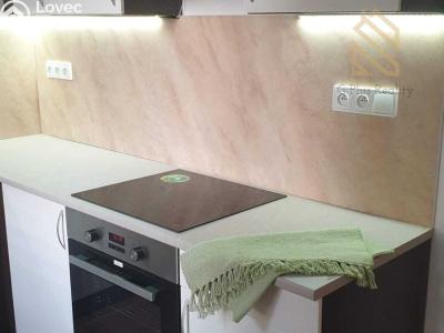 Rent apartment 1+1 Ústí nad Labem, Emy Destinové č. 3