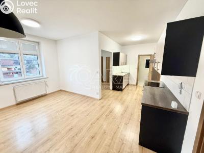 Pronájem bytu 3+KK Kralupy nad Vltavou, Jana Palacha č. 1