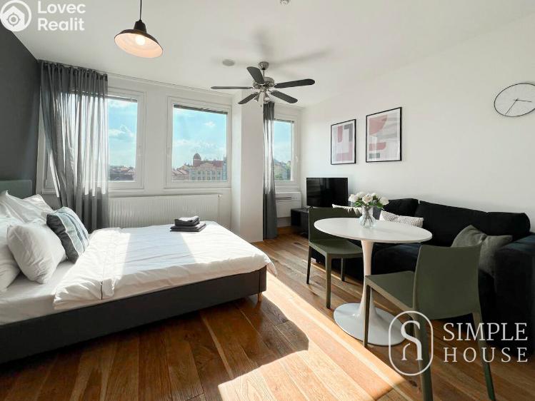 Pronájem bytu 1+KK Praha, Perucká č. 1