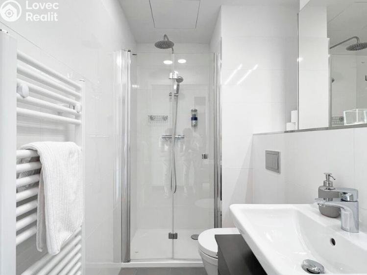 Pronájem bytu 1+KK Praha, Perucká č. 6