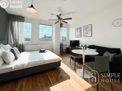 Pronájem bytu 1+KK Praha, Perucká č. 1