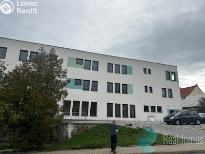 Sale commercial properties Mladá Vožice, Souhradí č. 2