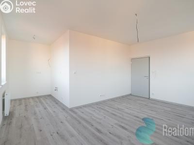 Продаж комерційної нерухомості Mladá Vožice, Souhradí č. 4