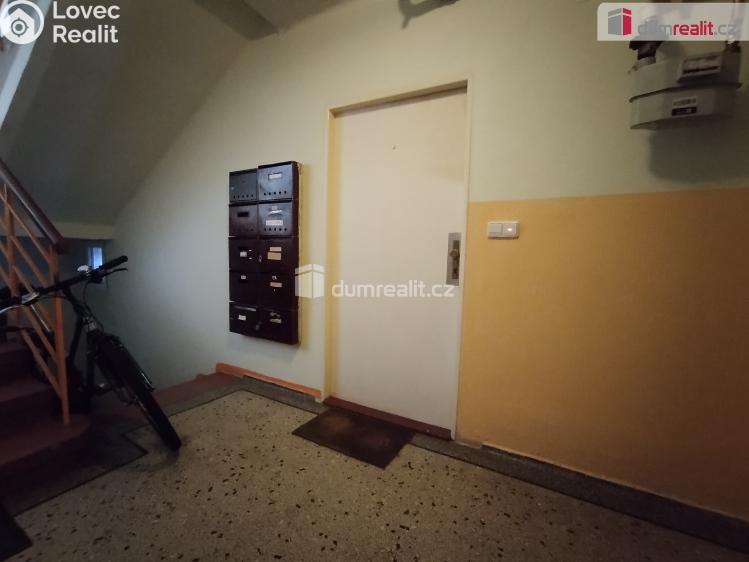 Pronájem bytu 2+1 Cheb, Hálkova č. 5