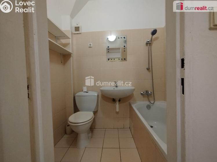 Pronájem bytu 2+1 Cheb, Hálkova č. 15