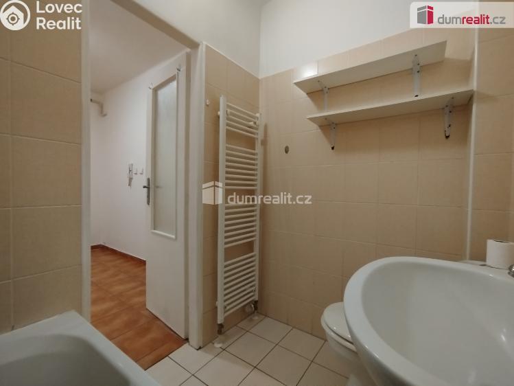 Pronájem bytu 2+1 Cheb, Hálkova č. 19