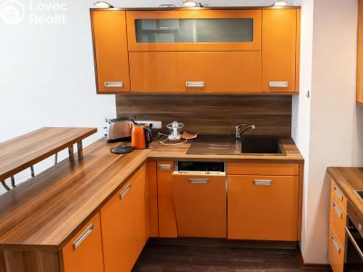 Rent apartment 2+KK Praha, Raichlova č. 4