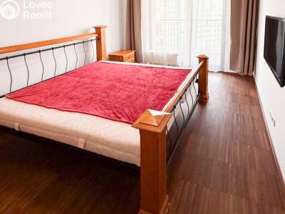 Rent apartment 2+KK Praha, Raichlova č. 6