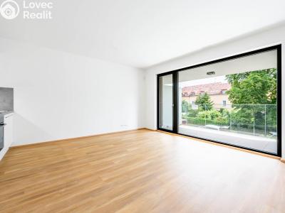 Pronájem bytu 1+KK Praha, Kotlaska č. 1