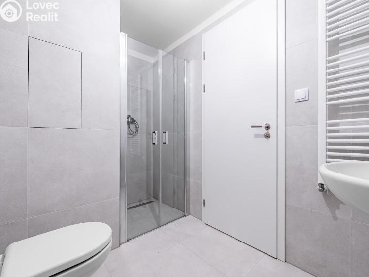 Pronájem bytu 1+KK Praha č. 3