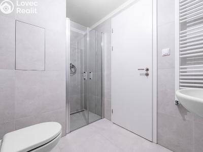 Pronájem bytu 1+KK Praha č. 3