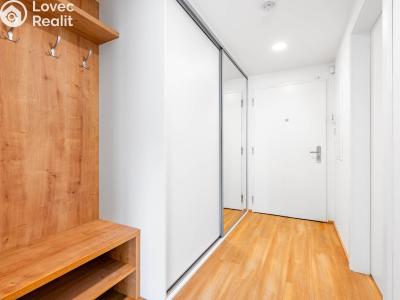 Pronájem bytu 1+KK Praha č. 4