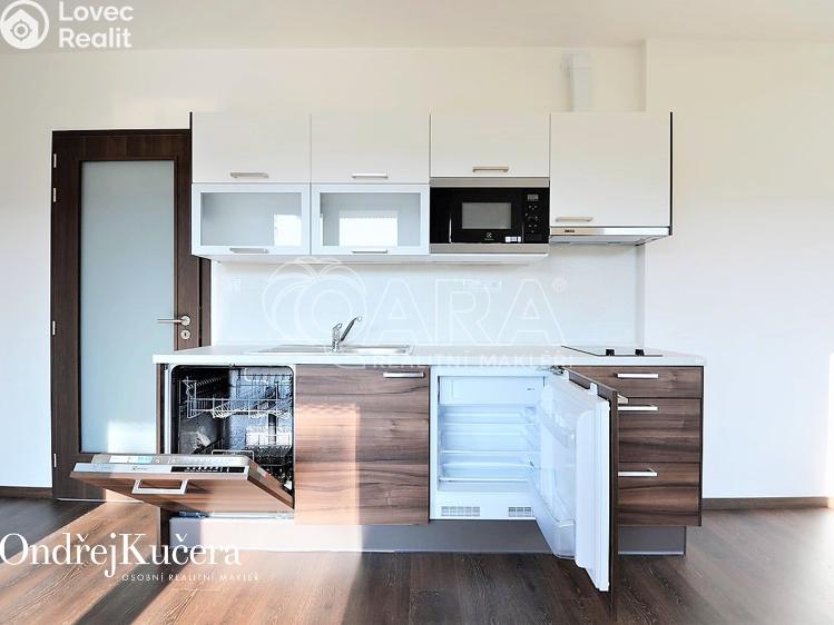 Pronájem bytu 1+KK Praha, Barvitiova 934/2 č. 9