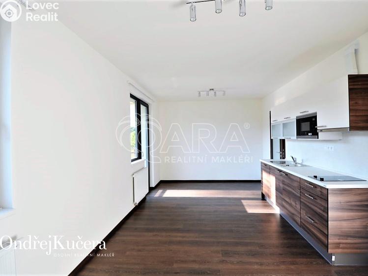 Pronájem bytu 1+KK Praha, Barvitiova 934/2 č. 12