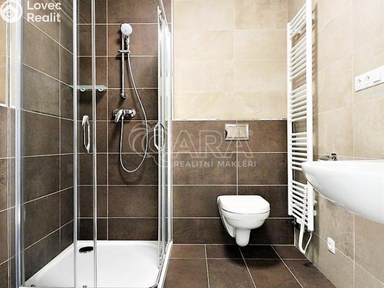 Pronájem bytu 1+KK Praha, Barvitiova 934/2 č. 14