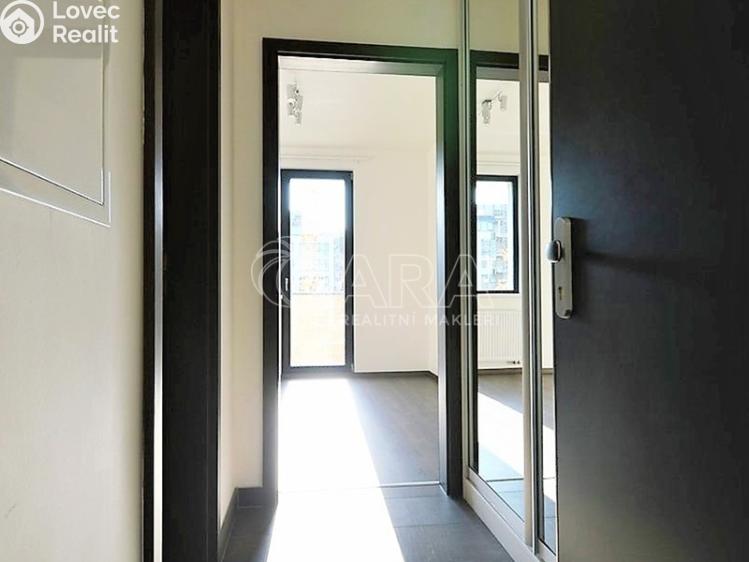 Pronájem bytu 1+KK Praha, Barvitiova 934/2 č. 17