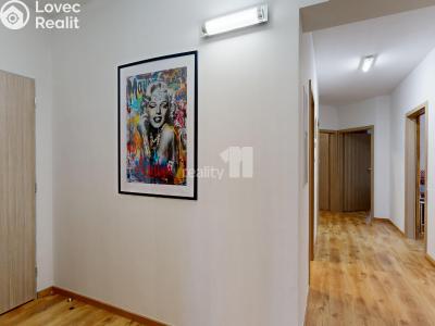 Продажа квартиры 4+KK Dolní Břežany, K Břežanům č. 6