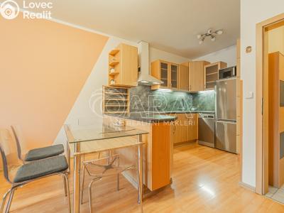 Pronájem bytu 2+KK Beroun, Nad Paloučkem 1722 č. 1