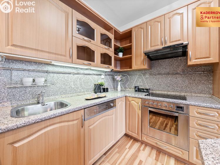 Prodej bytu 3+1 Brno, V Újezdech 552/3 č. 13