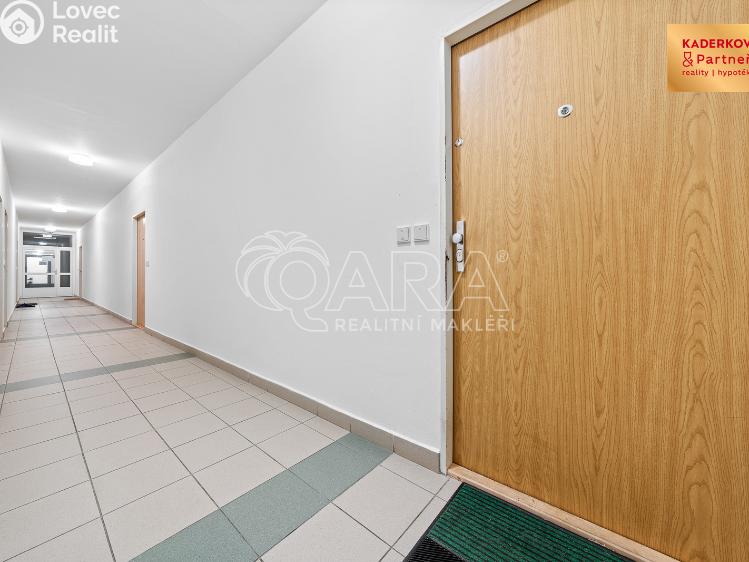 Prodej bytu 3+1 Brno, V Újezdech 552/3 č. 45