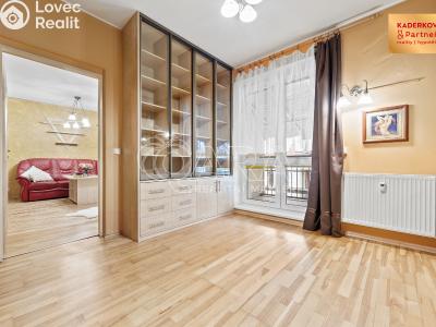 Продажа квартиры 3+1 Brno, V Újezdech č. 23