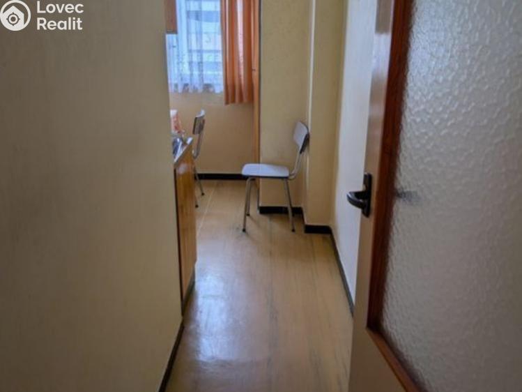 Prodej bytu 3+1 Kostelec nad Orlicí, Barákova č. 8