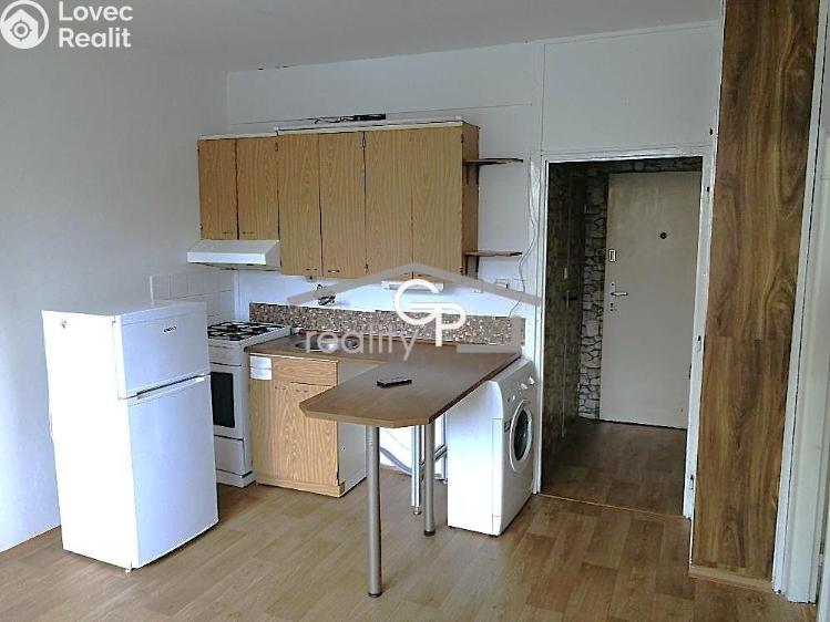 Pronájem bytu 1+1 České Budějovice, Lidická tř. č. 7