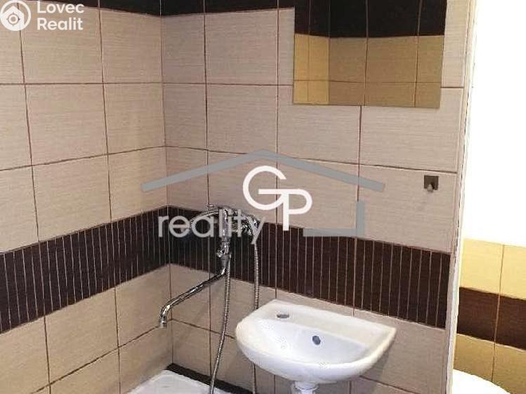 Pronájem bytu 1+1 České Budějovice, Lidická tř. č. 5