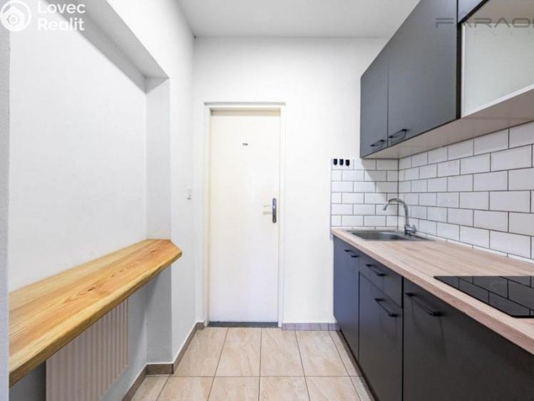 Sale commercial properties Lety č. 13