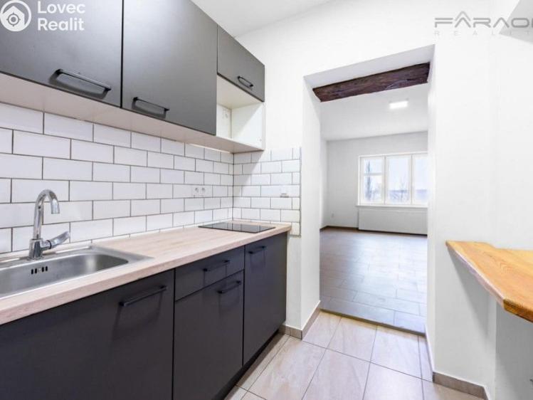 Sale commercial properties Lety č. 10