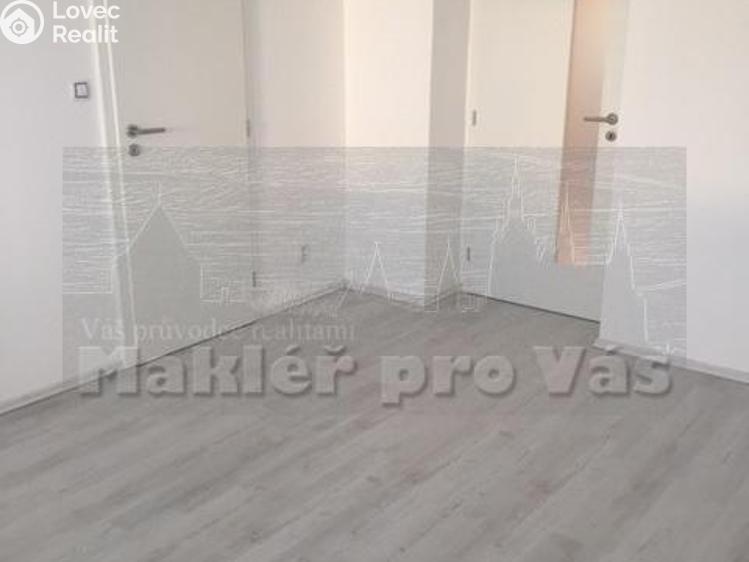 Pronájem bytu 2+1 Mladá Boleslav, Sadová 746/44 č. 3