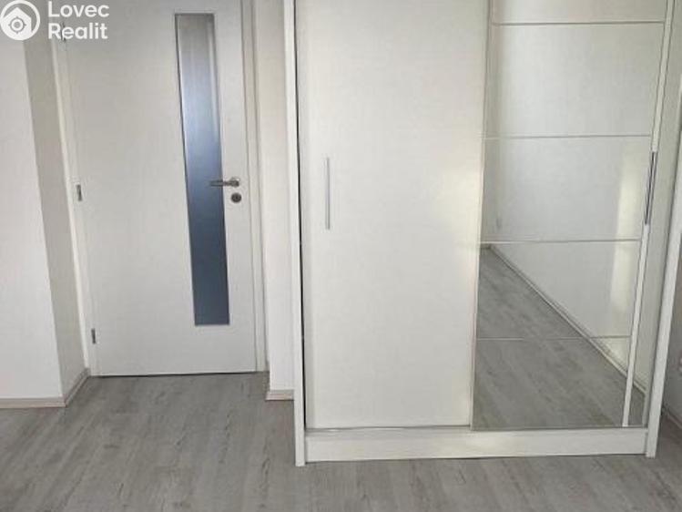 Pronájem bytu 2+1 Mladá Boleslav, Sadová 746/44 č. 4