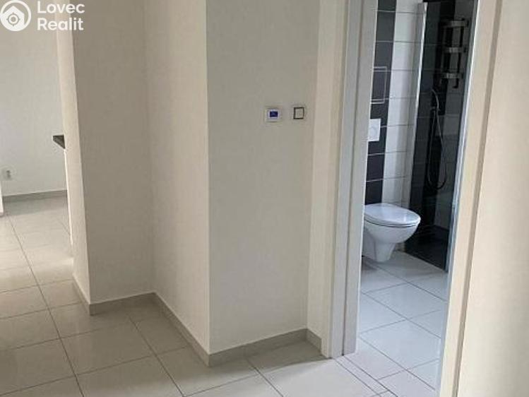 Pronájem bytu 2+1 Mladá Boleslav, Sadová 746/44 č. 7