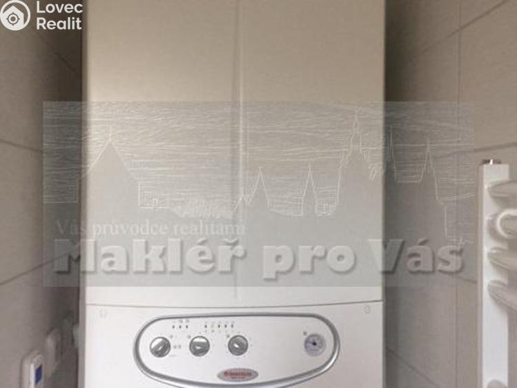 Pronájem bytu 2+1 Mladá Boleslav, Sadová 746/44 č. 12