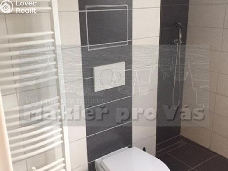 Pronájem bytu 2+1 Mladá Boleslav, Sadová 746/44 č. 13