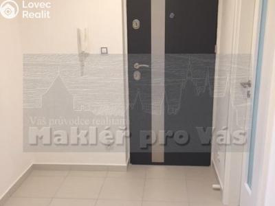 Pronájem bytu 2+1 Mladá Boleslav, Sadová č. 6