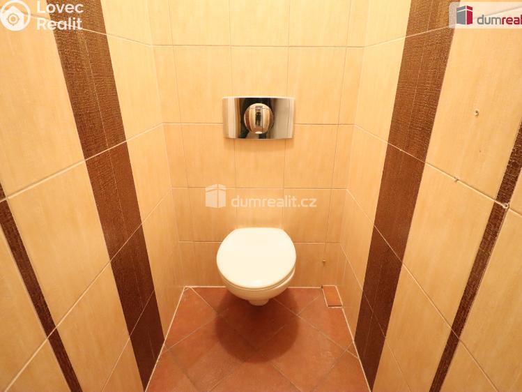 Pronájem komerční nemovitosti Karlovy Vary, Severní č. 12