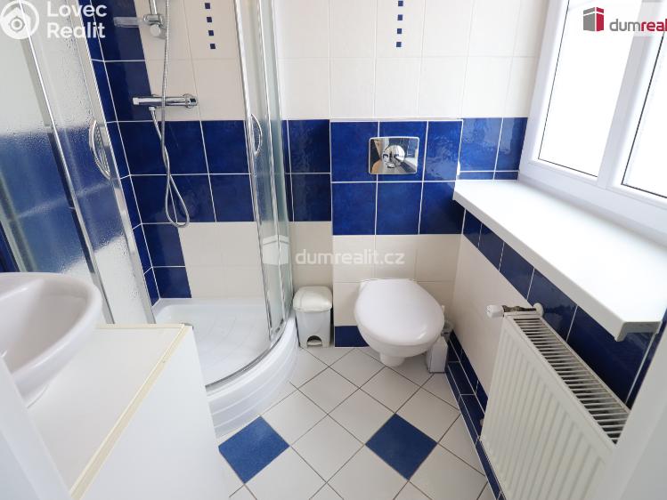 Pronájem komerční nemovitosti Karlovy Vary, Severní č. 19