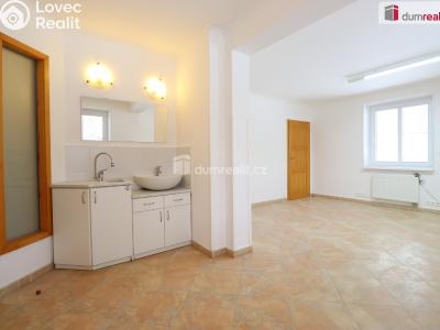 Pronájem komerční nemovitosti Karlovy Vary, Severní č. 10