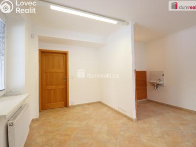 Pronájem komerční nemovitosti Karlovy Vary, Severní č. 18