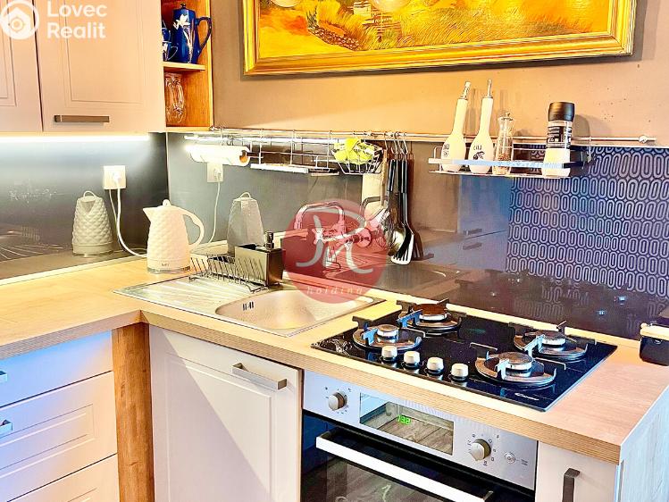 Pronájem bytu 1+1 Ostrava, Garážní č. 13