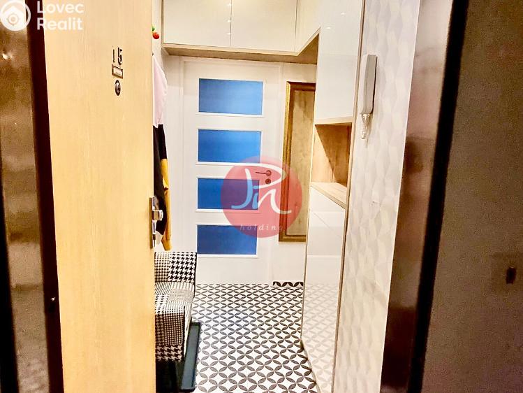 Pronájem bytu 1+1 Ostrava, Garážní č. 18