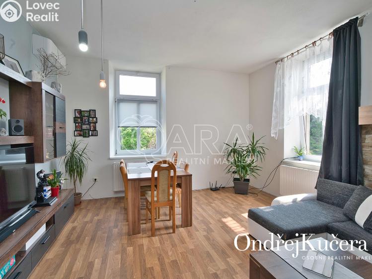 Prodej činžovního domu Nová Bystřice, Vídeňská 383 č. 5