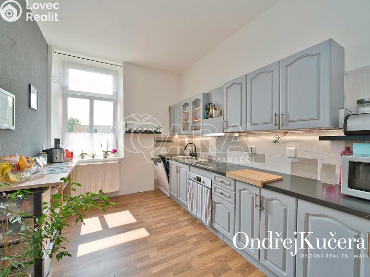 Prodej činžovního domu Nová Bystřice, Vídeňská 383 č. 4