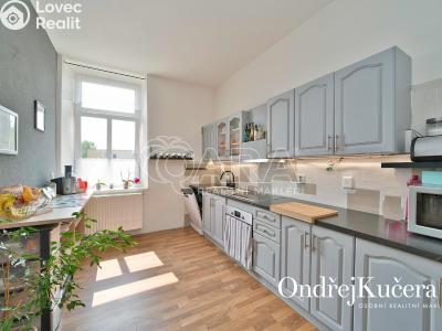 Prodej činžovního domu Nová Bystřice, Vídeňská 383 č. 4