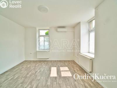 Prodej činžovního domu Nová Bystřice, Vídeňská 383 č. 3