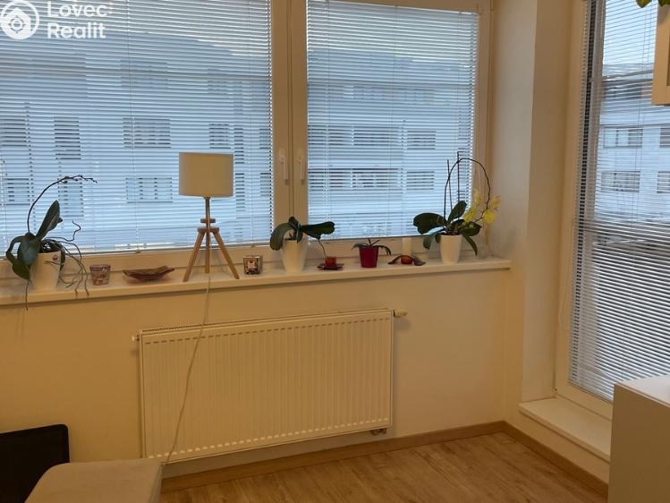 Pronájem bytu 1+KK Přezletice, Pod Zahrady č. 4